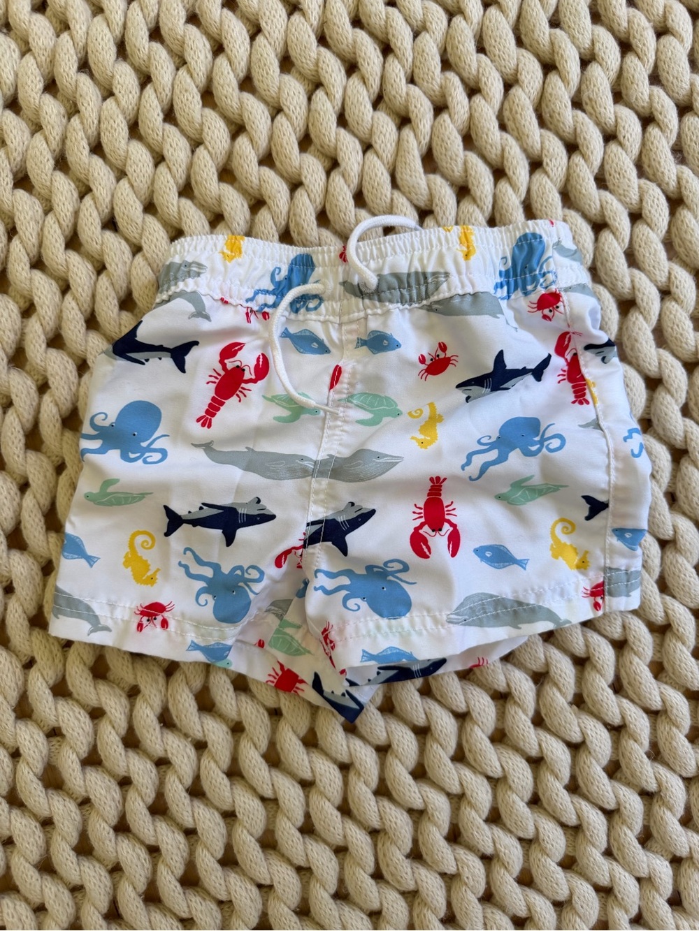 Janie and Jack Baby Swim Trunks with Colorful Sea Creatures - size 6-12m